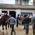 Feria de la Magdalena 2015