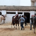 Feria de la Magdalena 2015