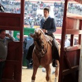 Feria de la Magdalena 2015