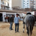 Feria de la Magdalena 2015