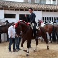 Feria de la Magdalena 2015