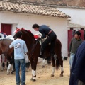 Feria de la Magdalena 2015