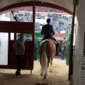 Feria de la Magdalena 2015