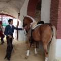 Feria de la Magdalena 2015