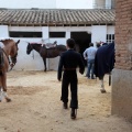 Feria de la Magdalena 2015