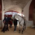 Feria de la Magdalena 2015