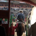 Feria de la Magdalena 2015