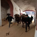 Feria de la Magdalena 2015