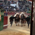 Feria de la Magdalena 2015