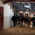 Feria de la Magdalena 2015