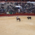 Feria de la Magdalena 2015