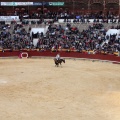 Feria de la Magdalena 2015