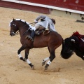 Feria de la Magdalena 2015