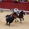 Feria de la Magdalena 2015