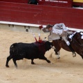 Feria de la Magdalena 2015