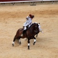 Feria de la Magdalena 2015