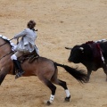 Feria de la Magdalena 2015