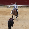 Feria de la Magdalena 2015