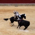 Feria de la Magdalena 2015