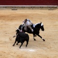 Feria de la Magdalena 2015