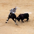 Feria de la Magdalena 2015