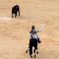 Feria de la Magdalena 2015