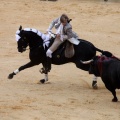 Feria de la Magdalena 2015