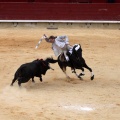 Feria de la Magdalena 2015