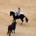 Feria de la Magdalena 2015