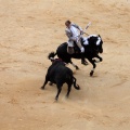 Feria de la Magdalena 2015