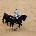 Feria de la Magdalena 2015