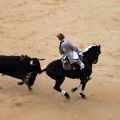 Feria de la Magdalena 2015