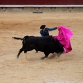 Feria de la Magdalena 2015