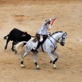 Feria de la Magdalena 2015