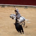 Feria de la Magdalena 2015