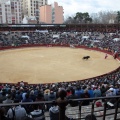 Feria de la Magdalena 2015