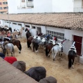 Feria de la Magdalena 2015