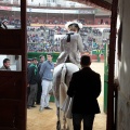 Feria de la Magdalena 2015