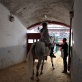 Feria de la Magdalena 2015