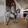 Feria de la Magdalena 2015