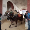 Feria de la Magdalena 2015