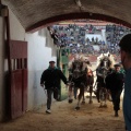 Feria de la Magdalena 2015