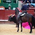 Feria de la Magdalena 2015