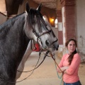 Feria de la Magdalena 2015