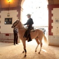 Feria de la Magdalena 2015