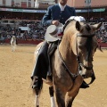 Feria de la Magdalena 2015