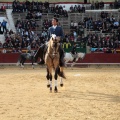 Feria de la Magdalena 2015