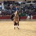 Feria de la Magdalena 2015