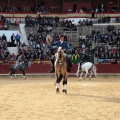 Feria de la Magdalena 2015