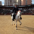 Feria de la Magdalena 2015